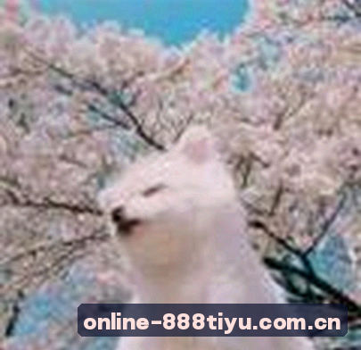 李姐